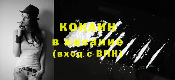 молекула духа Аркадак