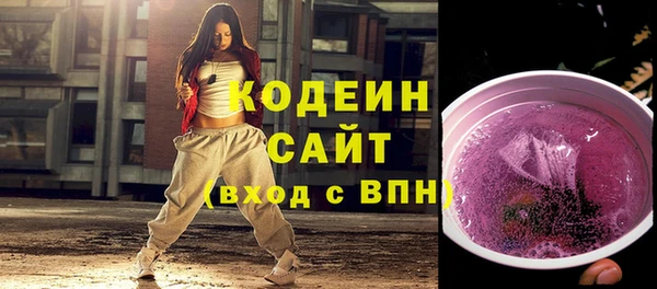 дмт Арсеньев