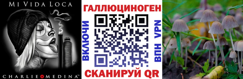 Купить Сурск Галлюциногенные грибы Magic Shrooms